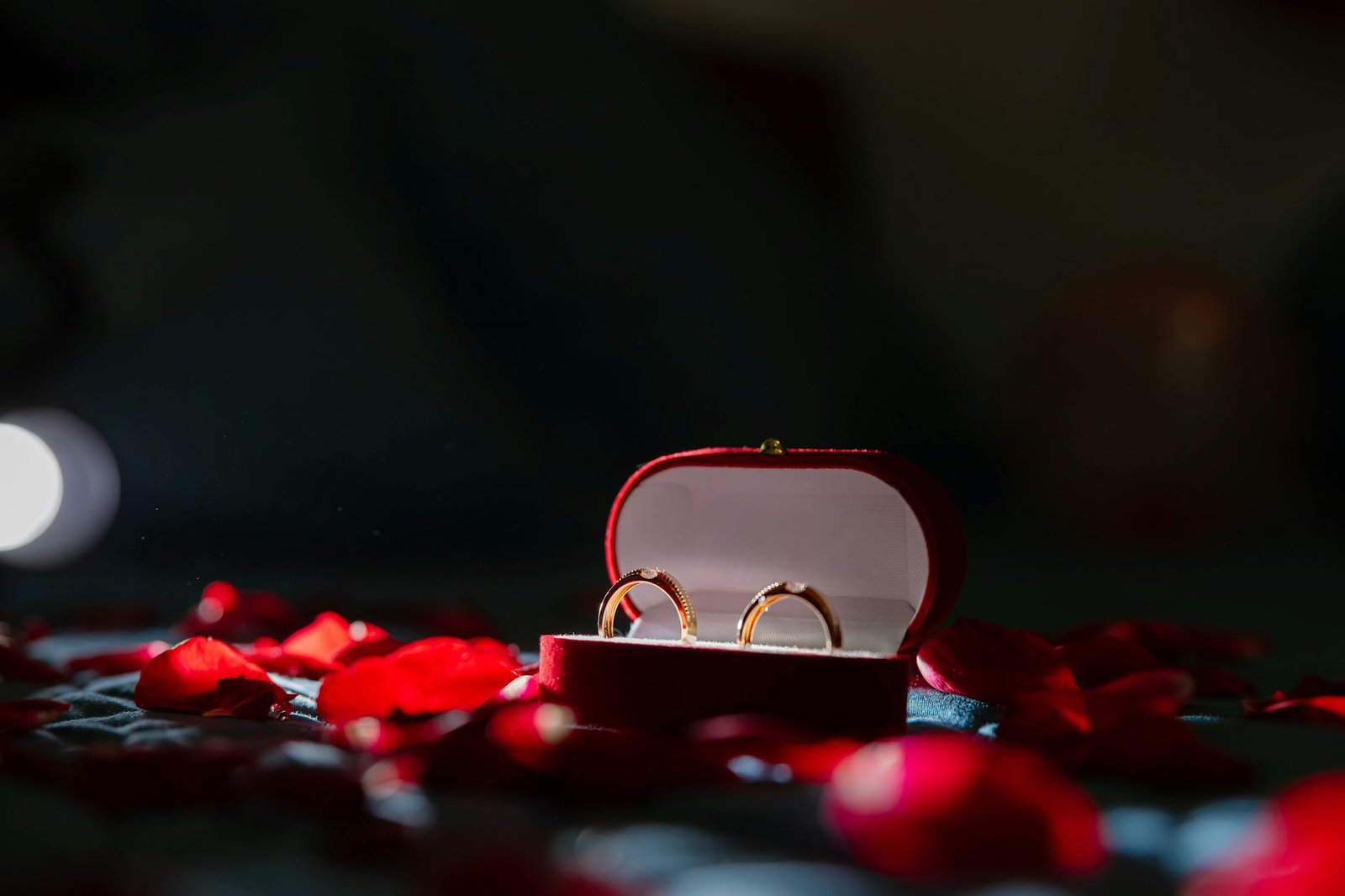 Two gold rings in a red velvet box surrounded by scattered rose petals, perfect for romantic themes.